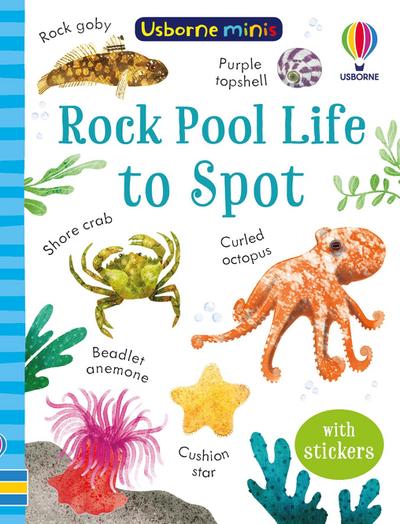 Rock Pool Life to Spot