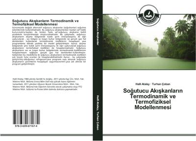 So¿utucu Ak¿¿kanlar¿n Termodinamik ve Termofiziksel Modellenmesi