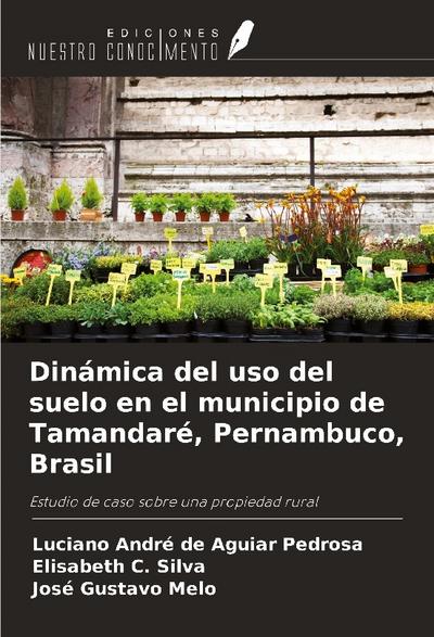 Dinámica del uso del suelo en el municipio de Tamandaré, Pernambuco, Brasil