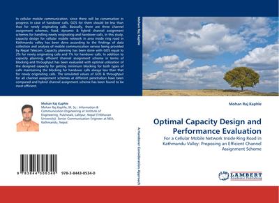 Optimal Capacity Design and Performance Evaluation