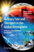 Mercury Fate and Transport in the Global Atmospher