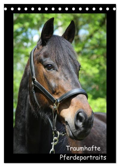 Traumhafte Pferdeportraits (Tischkalender 2024 DIN A5 hoch), CALVENDO Monatskalender