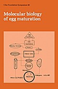 Molecular Biology of Egg Maturation