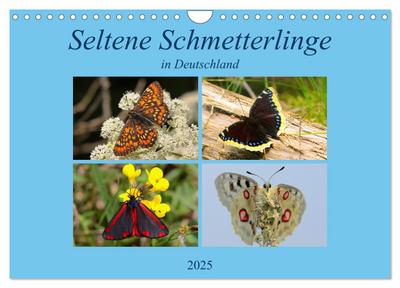 Seltene Schmetterlinge in Deutschland (Wandkalender 2025 DIN A4 quer), CALVENDO Monatskalender