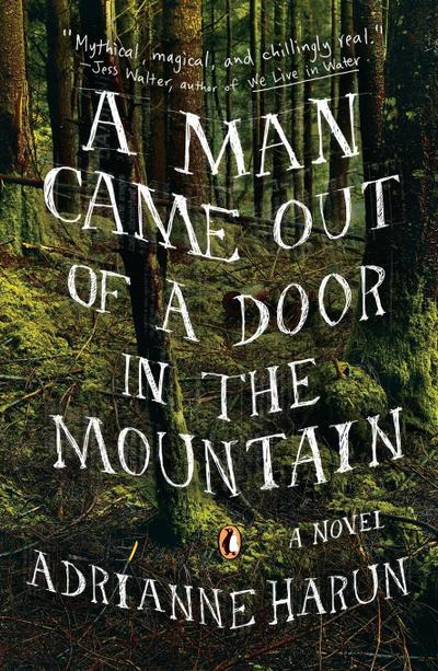 A Man Came Out of a Door in the Mountain