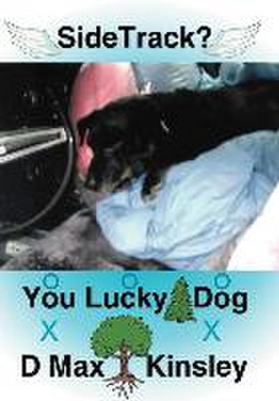 SideTrack? You Lucky Dog