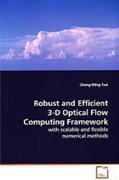 Robust and Efficient 3-D Optical Flow Computing  Framework
