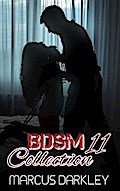 BDSM Collection 11