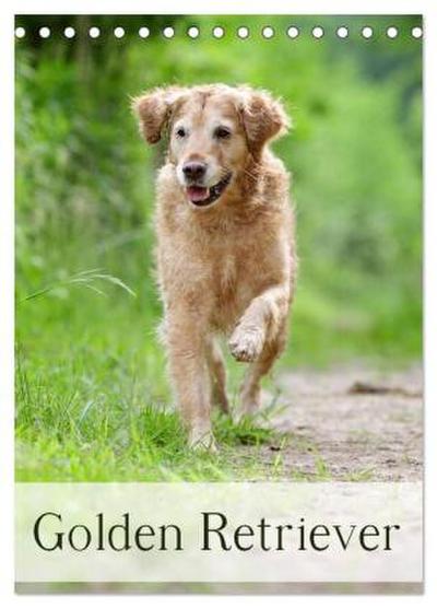 Golden Retriever (Tischkalender 2026 DIN A5 hoch), CALVENDO Monatskalender