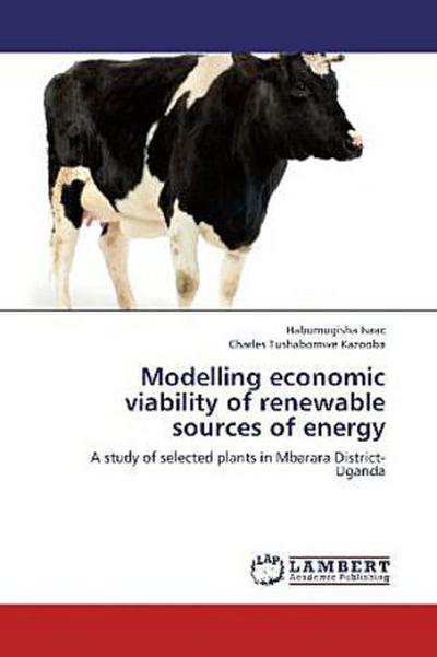 Modelling economic viability of renewable sources of energy