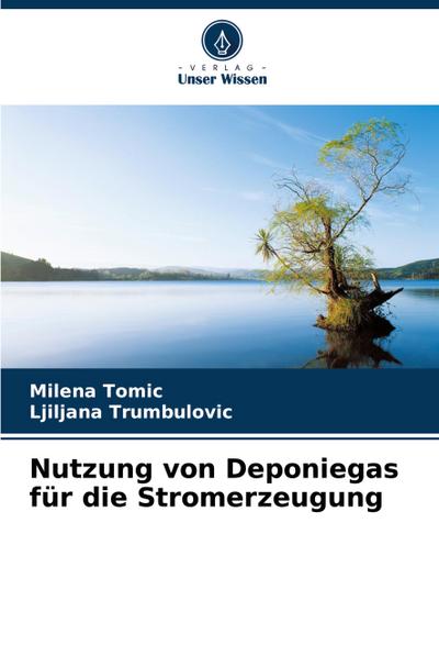 Nutzung von Deponiegas für die Stromerzeugung