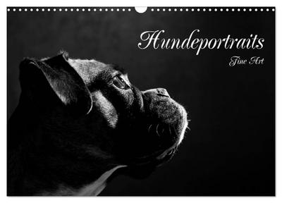 Hundeportraits Fine Art (Wandkalender 2026 DIN A3 quer), CALVENDO Monatskalender