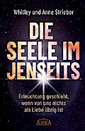 DIE SEELE IM JENSEITS. Erleuchtung geschieht, wenn von uns nichts als Liebe übrig ist
