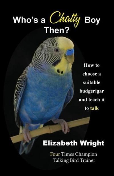 Who’s a Chatty Boy Then?