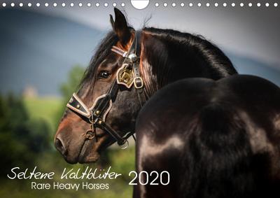 Zahorka, C: Seltene Kaltblüter - Rare Heavy Horses (Wandkale