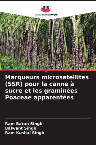 Marqueurs microsatellites (SSR) pour la canne à sucre et les graminées Poaceae apparentées