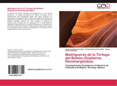 Madrigueras de la Tortuga del Bolsón (Gopherus flavomarginatus)