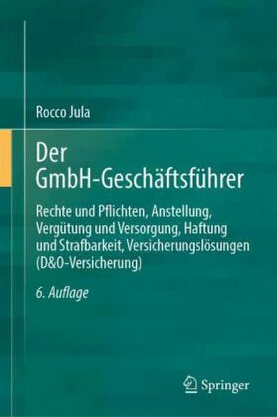 Der GmbH-Geschäftsführer