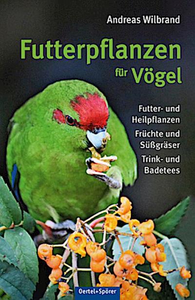 Futterpflanzen für Vögel