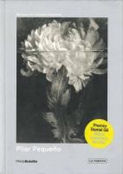 Pilar Pequeño: PHotoBolsillo