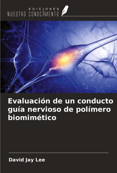 Evaluación de un conducto guía nervioso de polímero biomimético