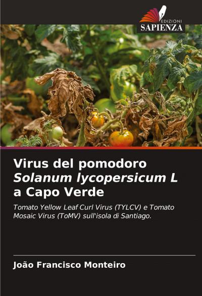 Virus del pomodoro Solanum lycopersicum L a Capo Verde