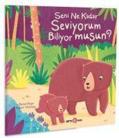 Seni Ne Kadar Seviyorum Biliyor Musun