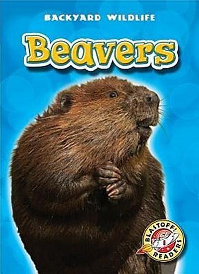 Beavers