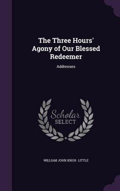 The Three Hours’ Agony of Our Blessed Redeemer: Addresses