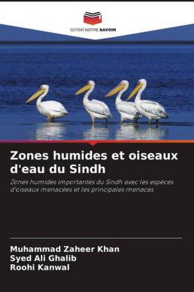 Zones humides et oiseaux d’eau du Sindh