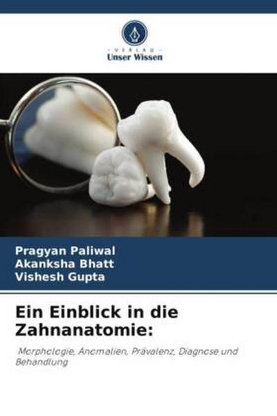 Ein Einblick in die Zahnanatomie: