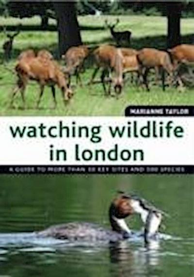 Watching Wildlife in London