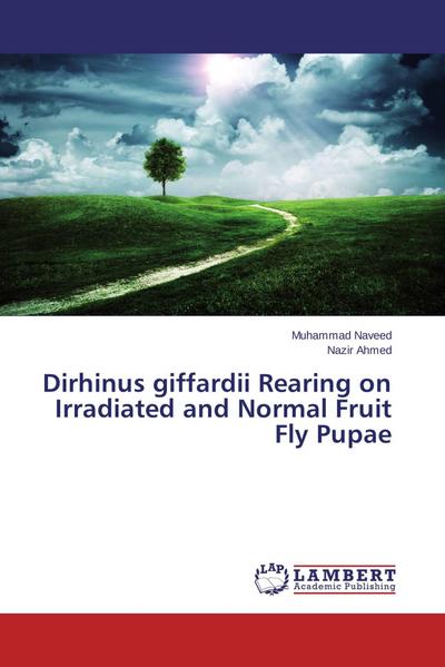Dirhinus giffardii Rearing on Irradiated and Normal Fruit Fly Pupae