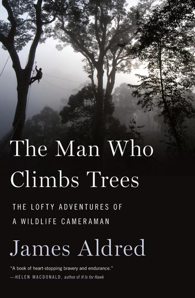 Man Who Climbs Trees