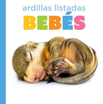 Ardillas Listadas Bebés