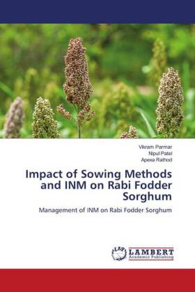 Impact of Sowing Methods and INM on Rabi Fodder Sorghum