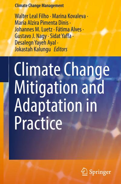Climate Change Mitigation and Adaptation in Practice