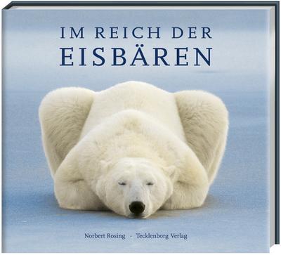 Eisbären