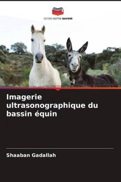 Imagerie ultrasonographique du bassin équin