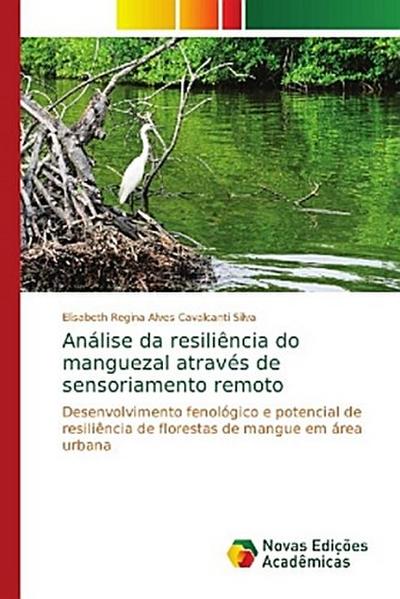 Análise da resiliência do manguezal através de sensoriamento remoto