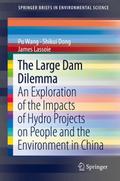 The large dam dilemma