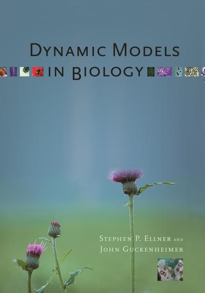 Dynamic Models in Biology