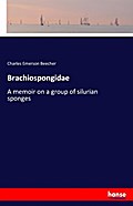 Brachiospongidae