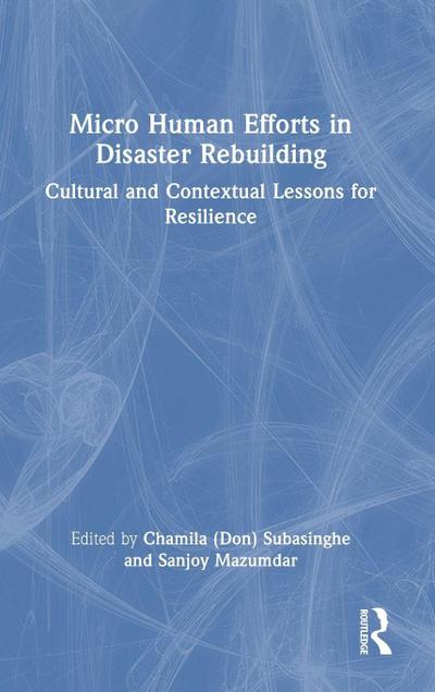 Micro Human Efforts in Disaster Rebuilding