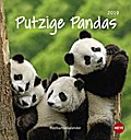 Putzige Pandas Postkartenkalender - Kalender 2019