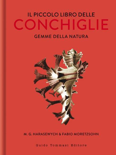 Il piccolo libro delle conchiglie. Gemme della natura