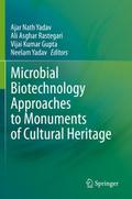 Microbial Biotechnology Approaches to Monuments of Cultural Heritage