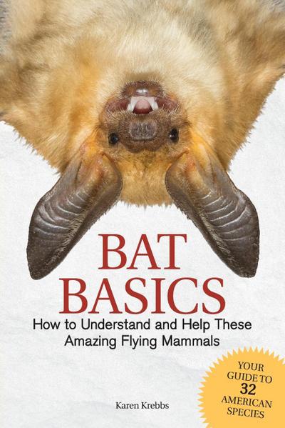 Bat Basics