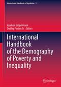 International Handbook of the Demography of Poverty and Inequality