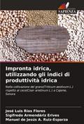 Impronta idrica, utilizzando gli indici di produttività idrica